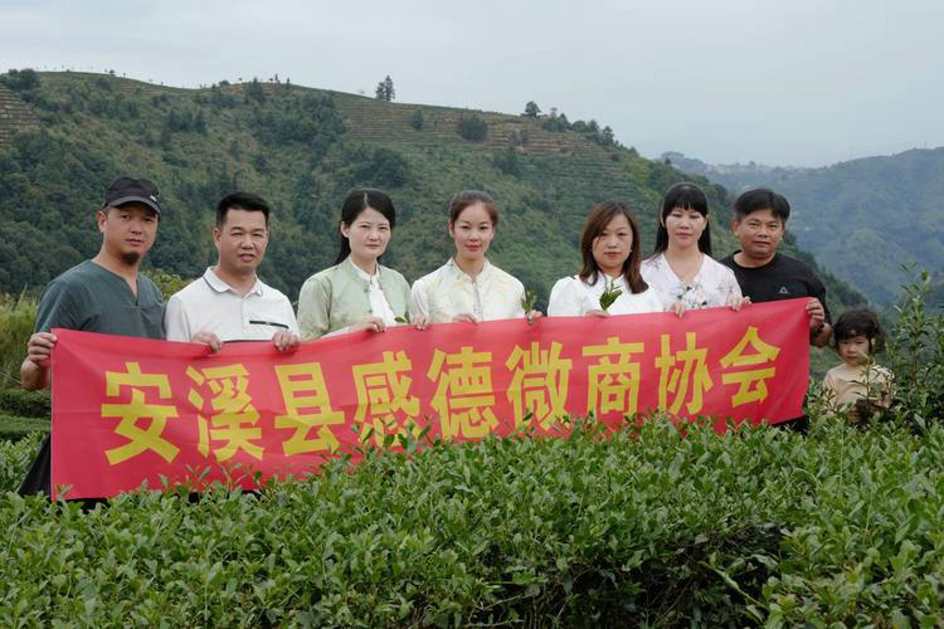 安溪茶业
